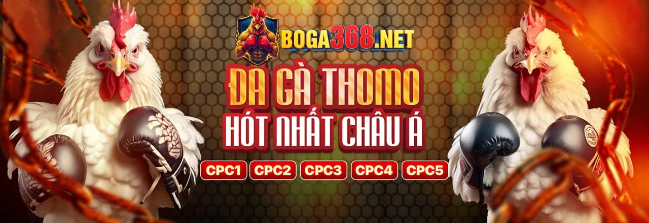 Sân vận động đầy ắp khán giả với ánh đèn rực rỡ, biểu tượng cá cược thể thao trực tuyến tại mb66667 đăng nhập, mang đến trải nghiệm sôi động.
